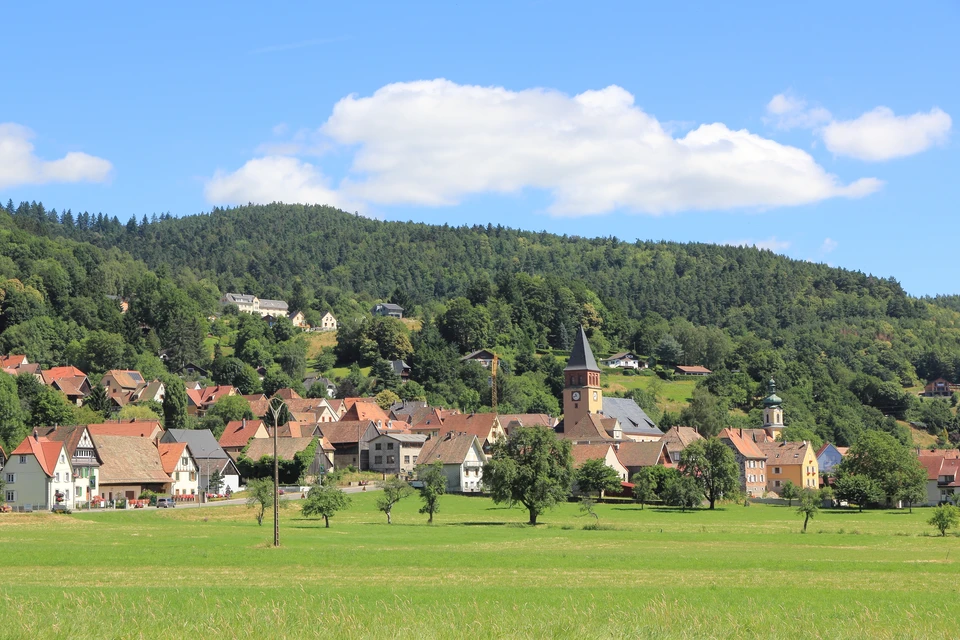 Paysage viticole vallonné avec vignes en premier plan, vue panoramique sur vallée agricole